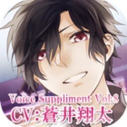 Voicesupplement-series2- simgesi